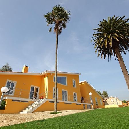 Up Quinta Dos Meireles Albergaria-a-Velha Luaran gambar